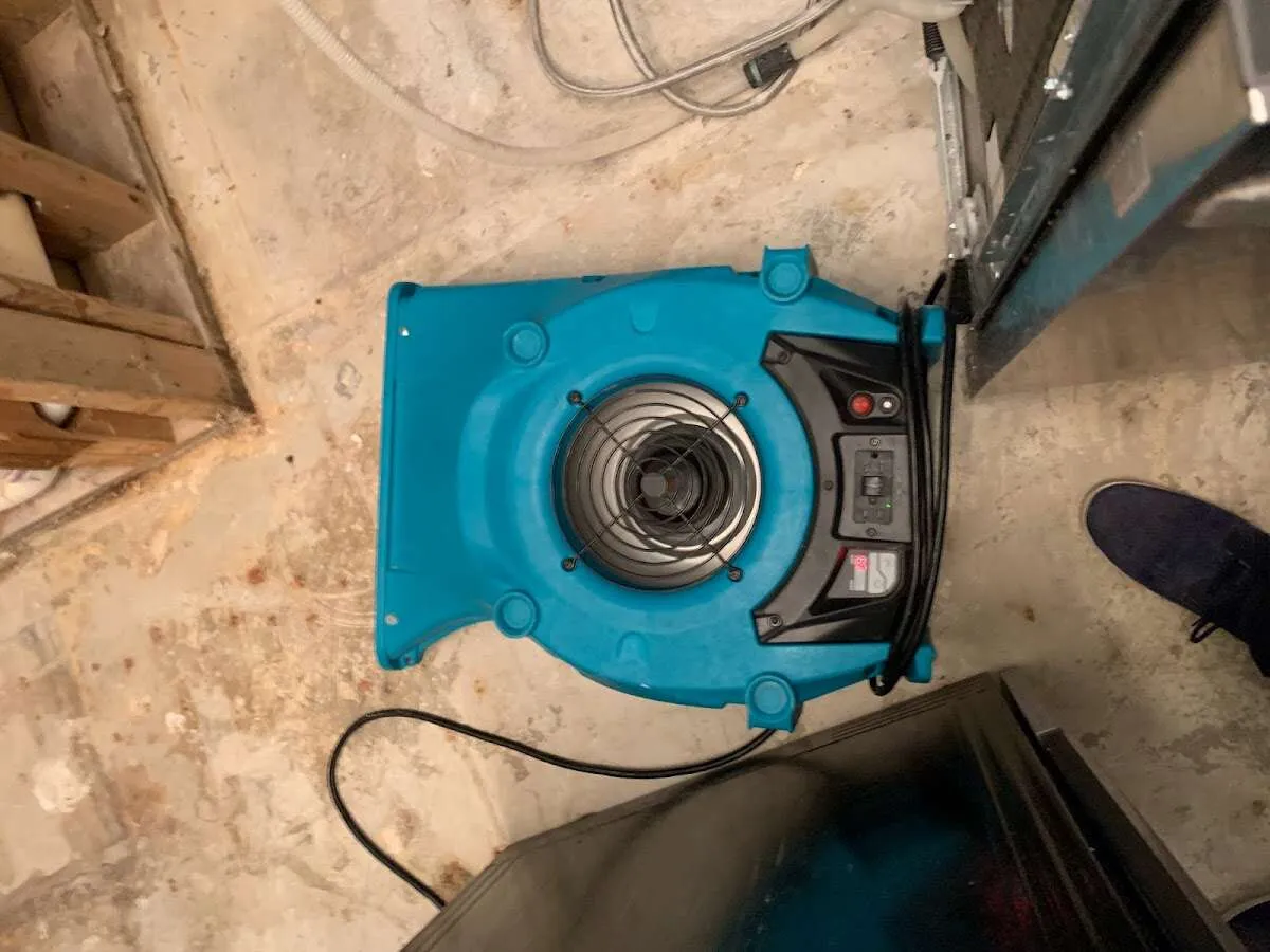 Air mover drying equipment for Mold Remediation & Removal in Beeville