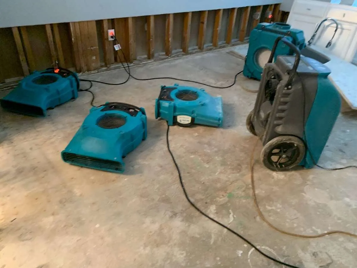 Water Damage Restoration services in Beeville, TX